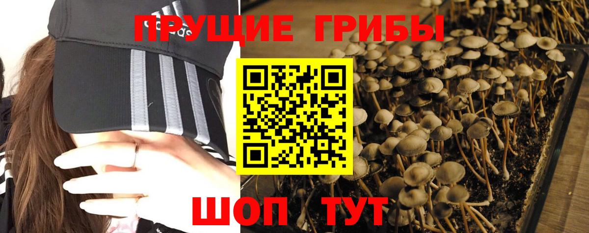 как найти закладки  Галлюциногенные грибы ЛСД  Вход с VPN  Заречный 