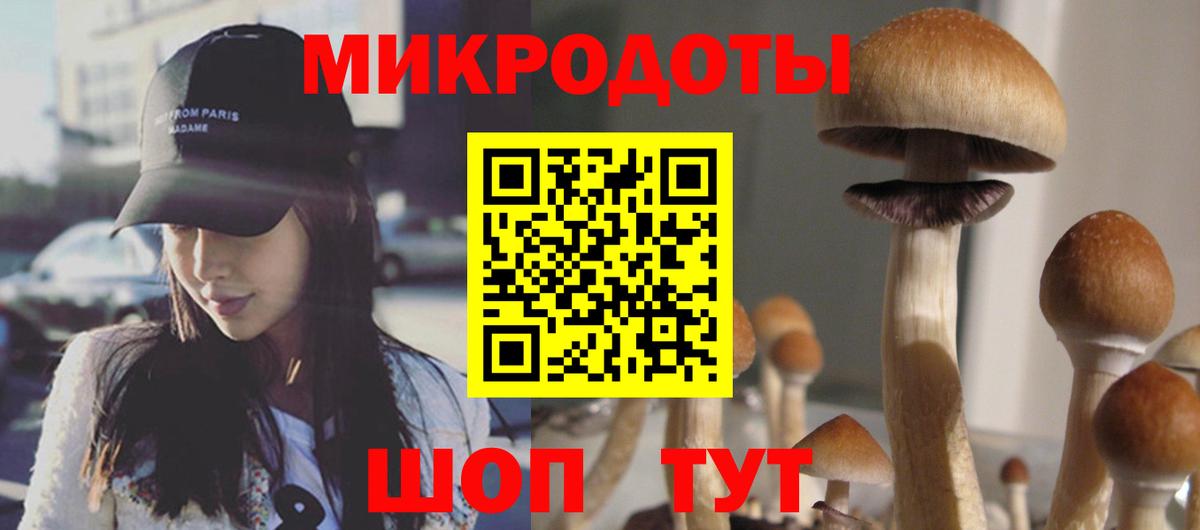 Псилоцибиновые грибы Psilocybe Заречный