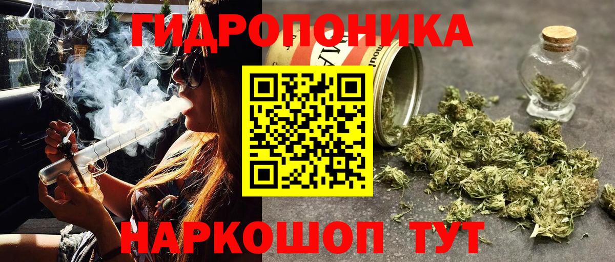 Заречный  МАРИХУАНА план  Вход с VPN  Конопля семена  Шишки марихуана SATIVA & INDICA 